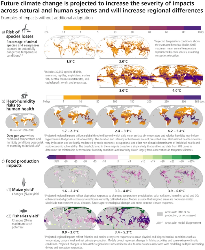 Projected risks and impacts of climate change on natural and human systems at different global warming levels (GWLs) relative to 1850-1900 levels. Projected risks and impacts shown on the maps are based on outputs from different subsets of Earth system and impact models that were used to project each impact indicator without additional adaptation. WGII provides further assessment of the impacts on human and natural systems using these projections and additional lines of evidence. (a) Risks of species losses as indicated by the percentage of assessed species exposed to potentially dangerous temperature conditions, as defined by conditions beyond the estimated historical (1850-2005) maximum mean annual temperature experienced by each species, at GWLs of 1.5oC, 2oC,3oC and 4oC. Underpinning projections of temperature are from 21 Earth system models and do not consider extreme events impacting ecosystems such as the Arctic. (b) Risks to human health as indicated by the days per year of population exposure to hyperthermic conditions that pose a risk of mortality from surface air temperature and humidity conditions for historical period (1991-2005) and at GWLs of 1.7°C–2.3°C (mean = 1.9°C; 13 climate models), 2.4°C–3.1°C (2.7°C; 16 climate models) and 4.2°C–5.4°C (4.7°C; 15 climate models). Interquartile ranges of GWLs by 2081–2100 under RCP2.6, RCP4.5 and RCP8.5. The presented index is consistent with common features found in many indices included within WGI and WGII assessments (c) Impacts on food production: (c1) Changes in maize yield by 2080–2099 relative to 1986–2005 at projected GWLs of 1.6°C–2.4oC (2.0°C), 3.3°C–4.8oC (4.1°C) and 3.9°C–6.0oC (4.9°C). Median yield changes from an ensemble of 12 crop models, each driven by bias-adjusted outputs from 5 Earth system models, from the Agricultural Model Intercomparison and Improvement Project (AgMIP) and the Inter-Sectoral Impact Model Intercomparison Project (ISIMIP). Maps depict 2080–2099 compared to 1986–2005 for current growing regions (>10 ha), with the corresponding range of future global warming levels shown under SSP1-2.6, SSP3-7.0 and SSP5-8.5, respectively. Hatching indicates areas where <70% of the climate-crop model combinations agree on the sign of impact. (c2) Change in maximum fisheries catch potential by 2081–2099 relative to 1986–2005 at projected GWLs of 0.9°C–2.0°C (1.5°C) and 3.4°C–5.2°C (4.3°C). GWLs by 2081–2100 under RCP2.6 and RCP8.5. Hatching indicates where the two climate-fisheries models disagree in the direction of change. Large relative changes in low yielding regions may correspond to small absolute changes. Biodiversity and fisheries in Antarctica were not analysed due to data limitations. Food security is also affected by crop and fishery failures not presented here.